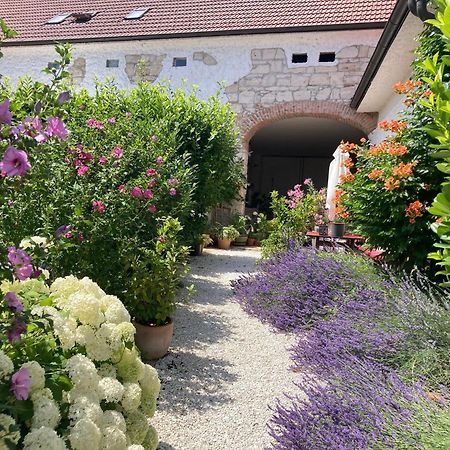 Apartament Haus Diogenes Mörbisch am See Zewnętrze zdjęcie