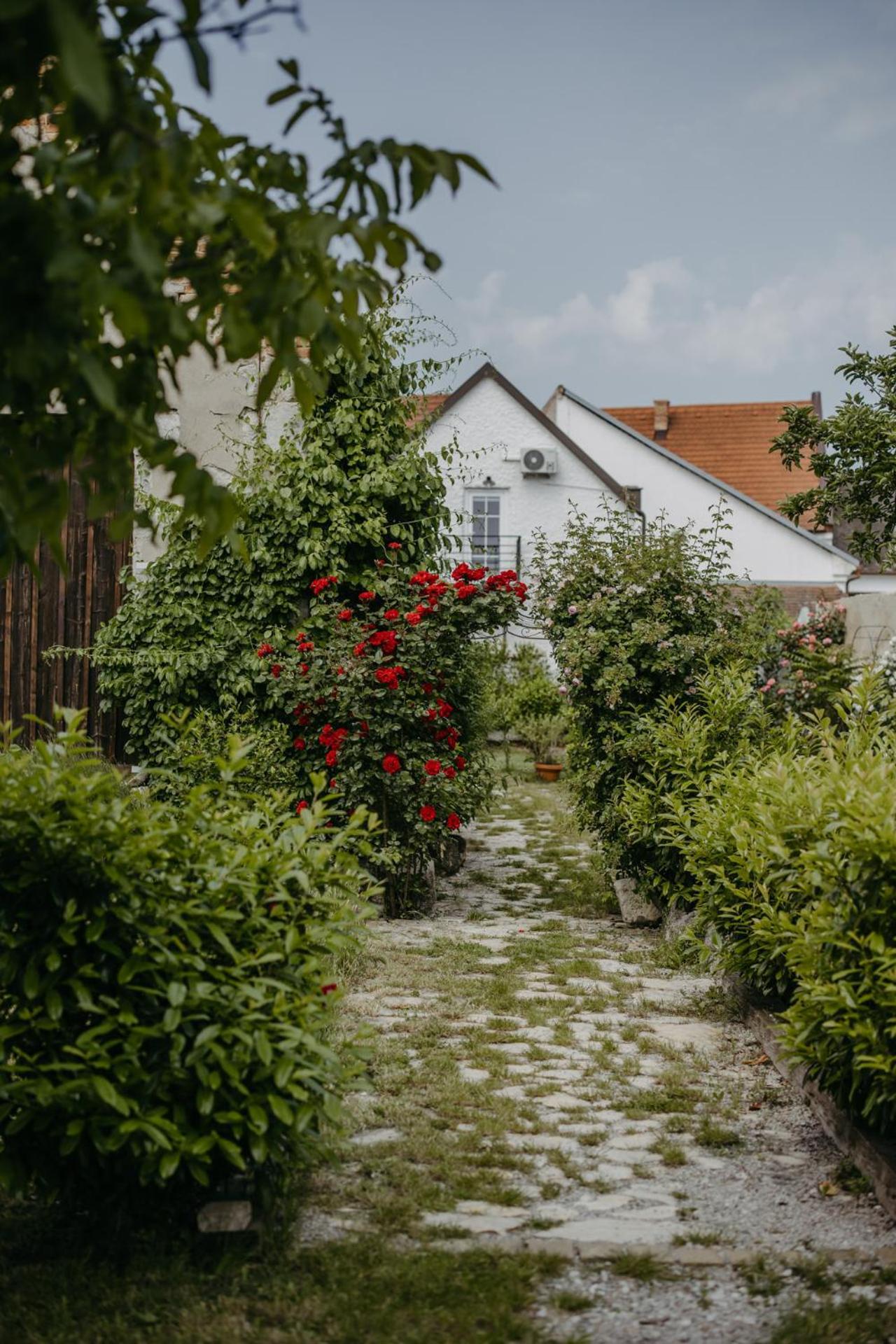 Apartament Haus Diogenes Mörbisch am See Zewnętrze zdjęcie