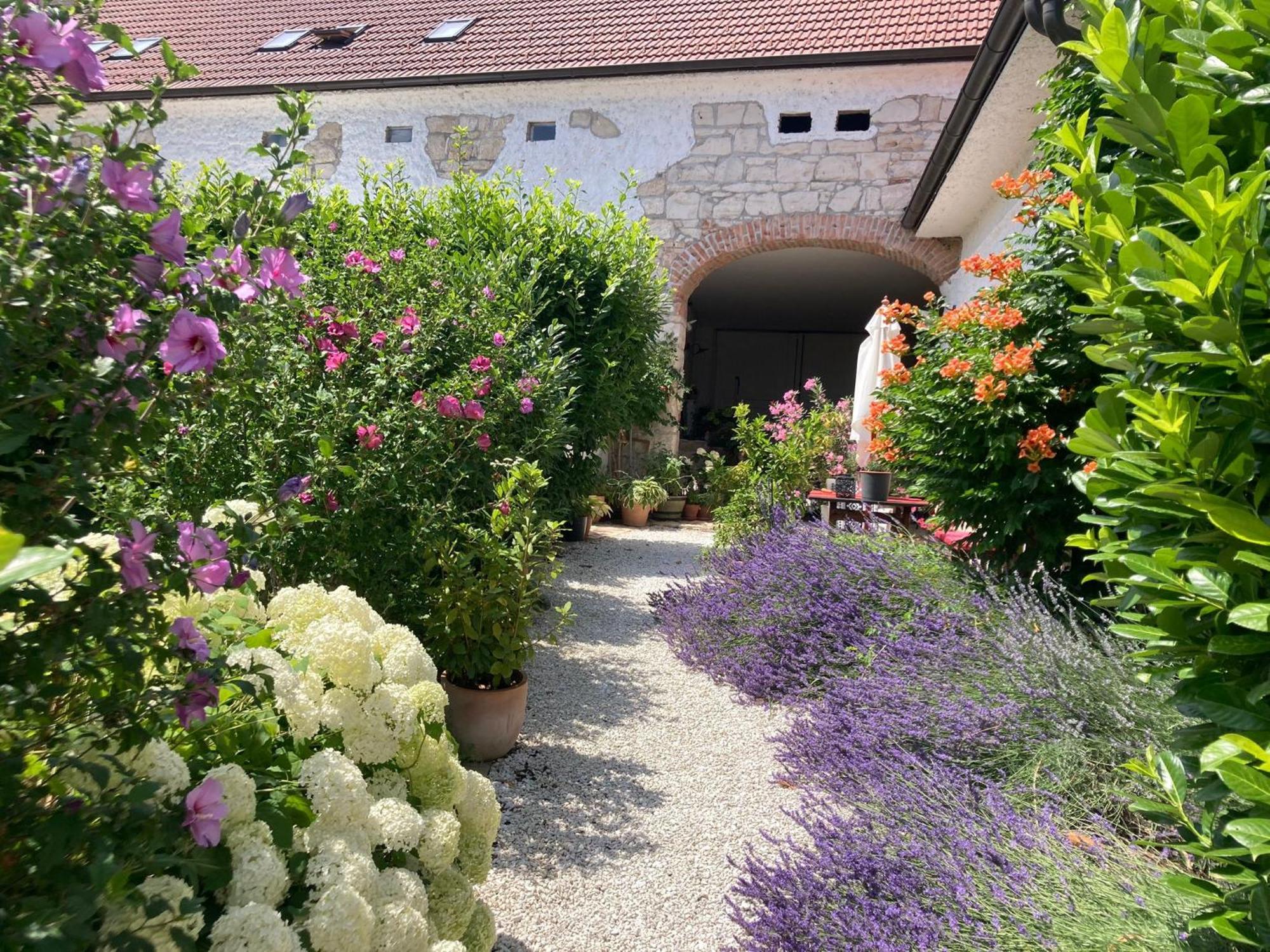 Apartament Haus Diogenes Mörbisch am See Zewnętrze zdjęcie